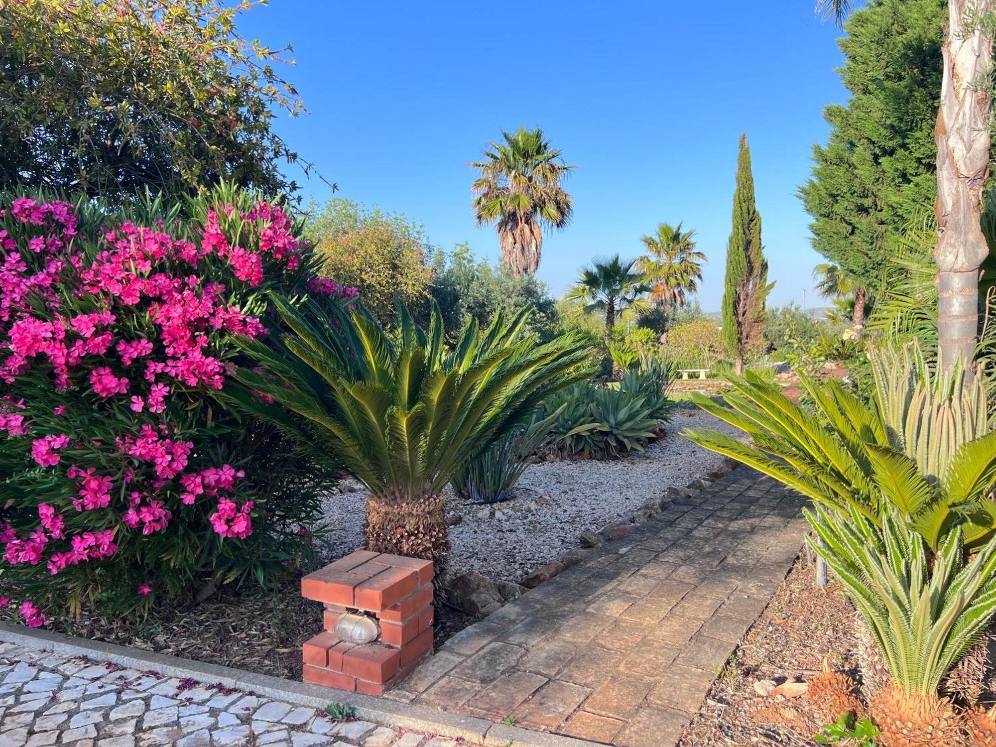 Vila Relaxmountain B&B São Bartolomeu de Messines Esterno foto